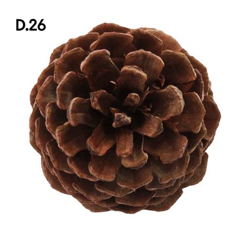 Dřevo_motiv26.jpg Dřevo_motiv26.jpg